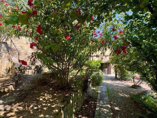 DA979_18 TERRA ITALIA IMMOBILIEN_LIGURIEN_DOLCEACQ