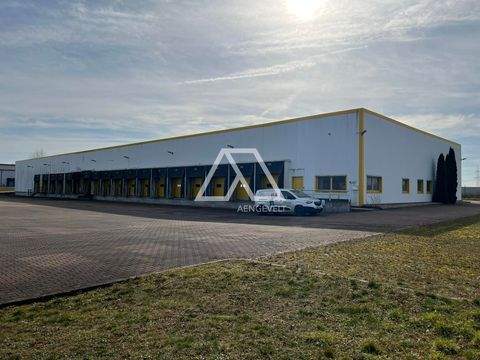 Hermsdorf Halle, Hermsdorf Hallenfläche