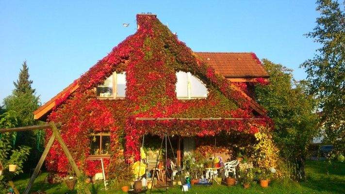 Inspirationen aus dem Herbst