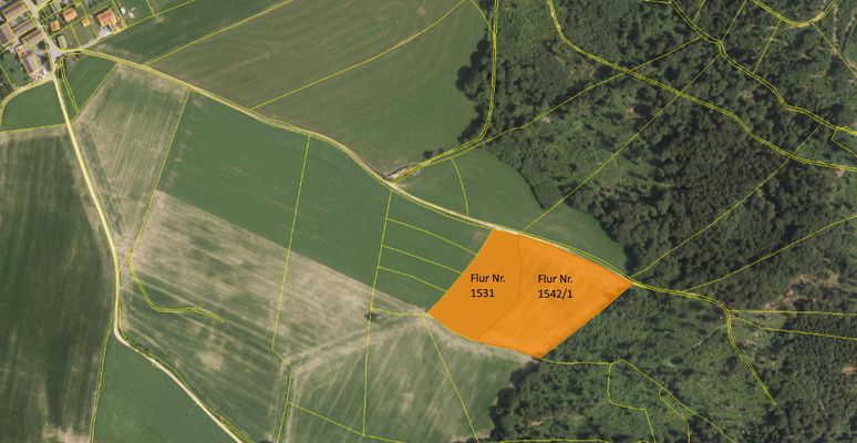 Flur Nr. 1531+1542_1.png
