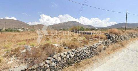 Parasporos, Paros Bauernhöfe, Landwirtschaft, Parasporos, Paros Forstwirtschaft