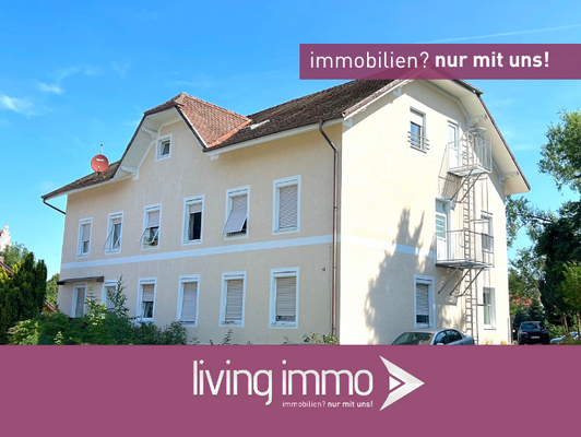 Vorlage Startbild Normal Logo und Fenster living immo Farbe