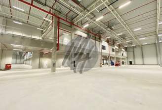 INFOS UNTER: 06171-586000