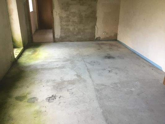 Rohbau Schweinestall