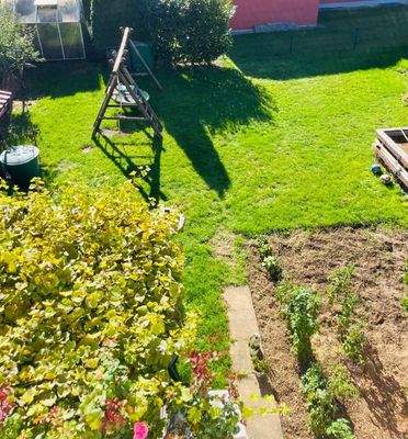 Blick in den Garten