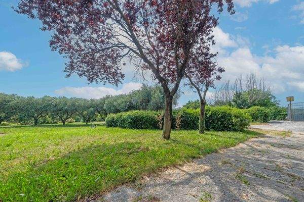 Casolare Affi_ (5).JPG