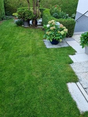 Teilausschnitt hinterer Gartenbereich