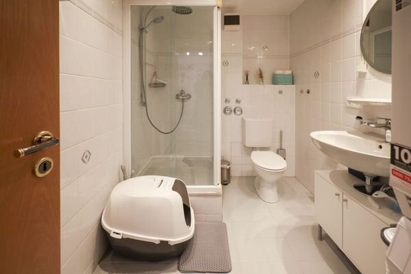 Badezimmer 1