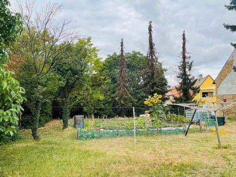 Hillesheim Grundstücke, Hillesheim Grundstück kaufen