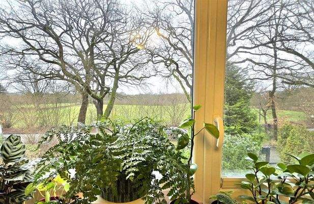 2. Grundstück mit Blick auf weitläufige Felder