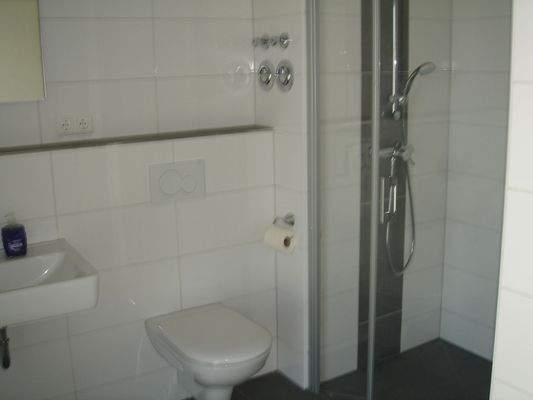 Tageslichtbad mit Dusche/Waschbecken/WC