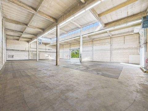 Stadthagen Halle, Stadthagen Hallenfläche