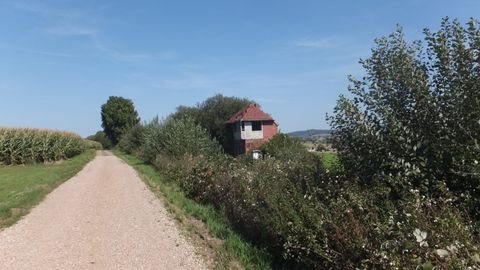 Lutter am Barenberge, Nauen Häuser, Lutter am Barenberge, Nauen Haus kaufen