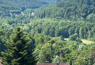 Ausblick