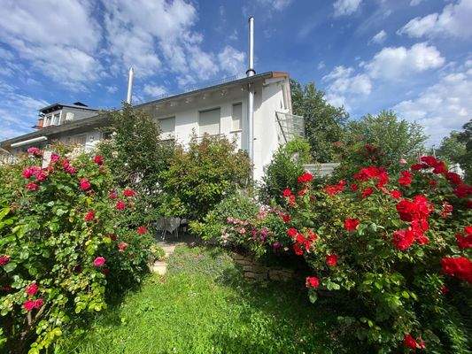 Hausansicht Gartenseite