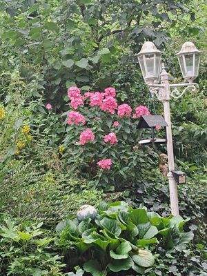 Bild 26
