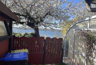 Sicht vom Carport zum See