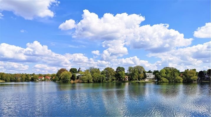 Umgebung Badesee im neuen Garten (Heiliger See)