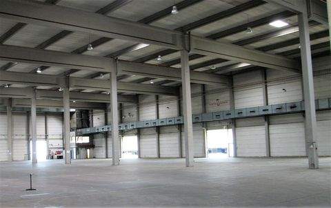 Neumarkt in der Oberpfalz Halle, Neumarkt in der Oberpfalz Hallenfläche