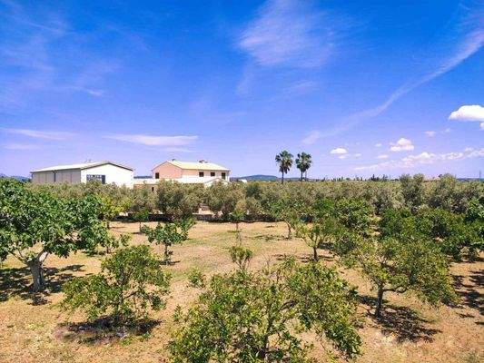 Finca ideal für Tierhaltung, zu verkaufen,  Marratxí, Mallorca