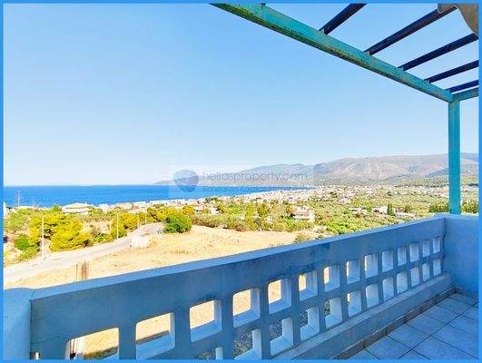 6b78fb8a02d440d2bb9430e85a801c49-original