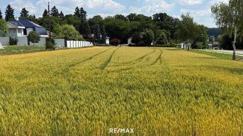 Kohfidisch Grundstücke, Kohfidisch Grundstück kaufen