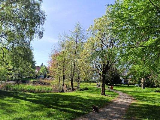 ...fast Ihr Vorgarten