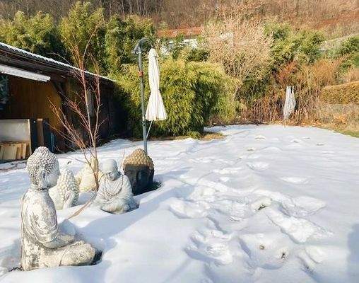 Überdachter Sitzplatz beim Gartenhaus, Wiese und Biotop