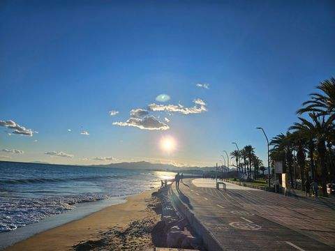 Cottbus Wohnungen, Cottbus Wohnung kaufen