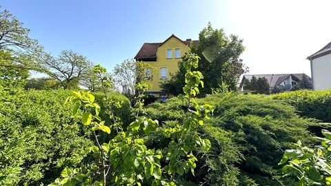 Zörbig Häuser, Zörbig Haus kaufen