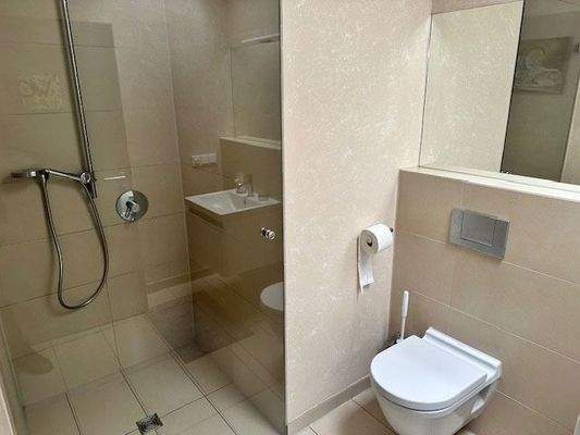 Badezimmer-im-Erdgeschoss