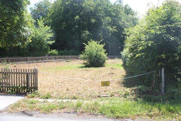 Grundstücksansicht mit Zufahrt