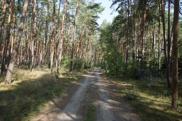 Auf dem Weg vorne (5).JPG