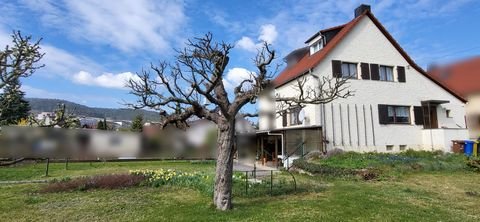Jena Häuser, Jena Haus kaufen