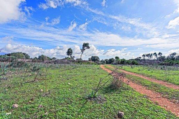 Großes Grundstück von 22 ha