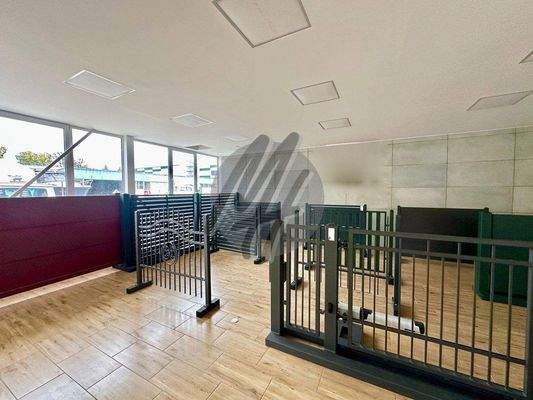 INFOS UNTER: 06171-586000