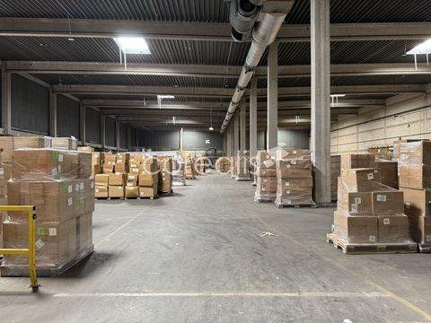 Dortmund Halle, Dortmund Hallenfläche