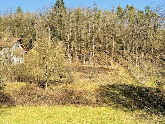Grundstücksimpressionen im Winter / Blick von Westen auf das Grundstück