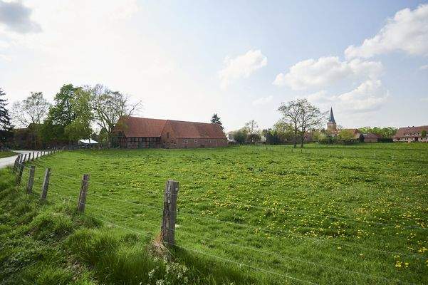 Impression von Schwarme