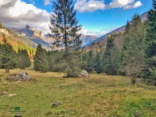 Jagdrevier, Immobilien-Kurz-Salzburg