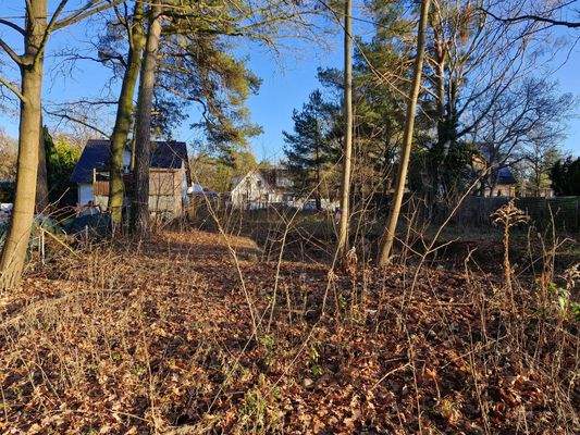 Blick von hinten nach vorne