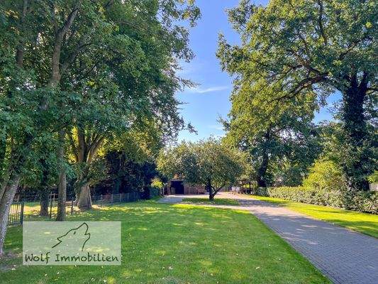 Gepflegtes Grundstück