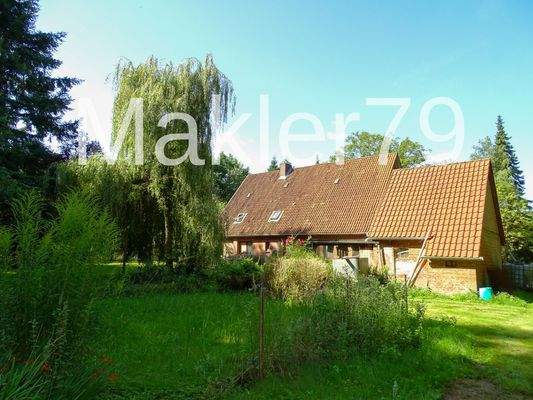 Blick aus dem Garten