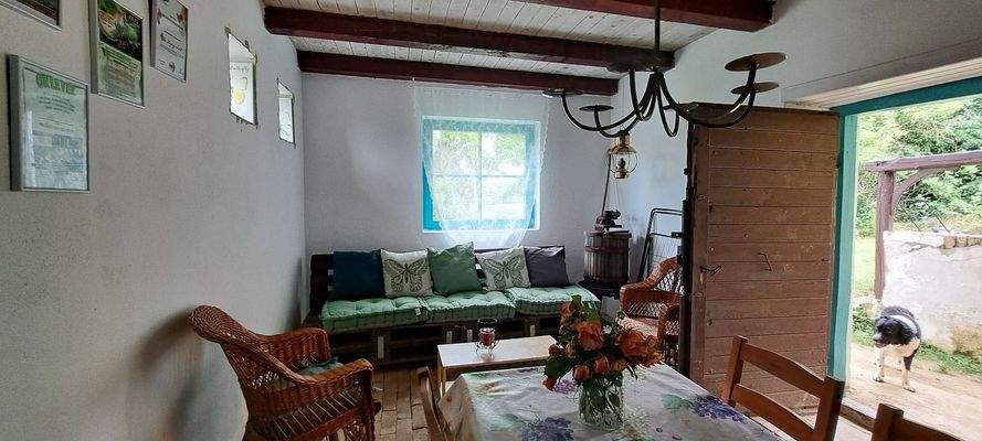 WhatsApp Image 2025-10-22 at 14.12.47 (1).jpeg