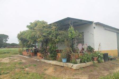 Rociana del Condado Häuser, Rociana del Condado Haus kaufen