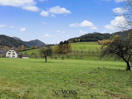 Gegenüberliegende Strassenseite