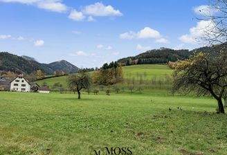 Gegenüberliegende Strassenseite