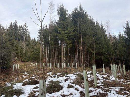 2026-02-12 13.50.09.jpg