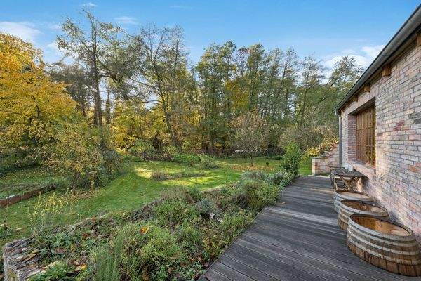 Blick von der seitlichen Terrasse in den Obstgarten
