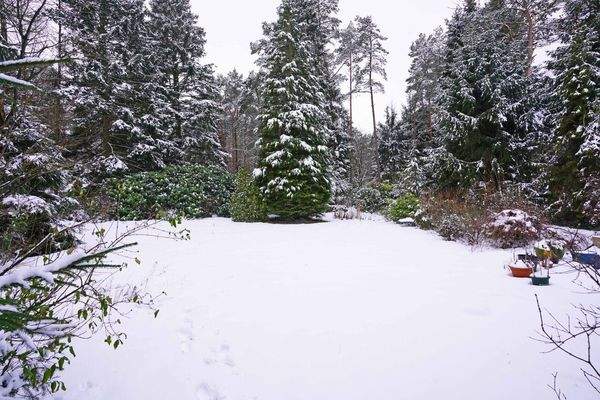 Garten (Teilbereich)